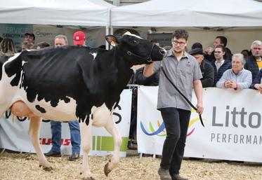 Mathéo Porée, 20 ans, est un passionné de Prim'Holstein grâce à son papa qui lui a transmis l'amour de la race laitière. Fort de cet héritage, il participera le 1er juin 2024 prochain au concours régional à Vire.