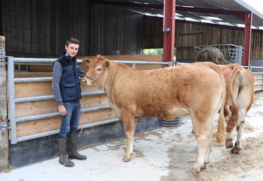 Valentin Flajolet est polyvalent, entre bovins, ovins et équins. Avec Tatiana, génisse de 20 mois, il participe à son 1er concours en tant qu'associé.
