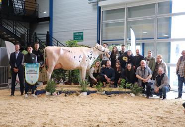 La grande championne du concours régional Prim'Holstein, cette année, est PLK Plusbelle du Gaec Christal de l'Eure.