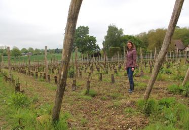 Axelle Piednoël a décroché un BTS viti-œnologie et a effectué de nombreux stages (Côteaux du Layon, Chinon, Alsace, Vaucluse...) pour appréhender les différentes méthodes de vinification.