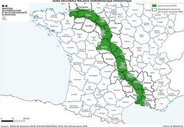 Le gouvernement français encourage la stratégie vaccinale. Les zones tampons, en vert, indiquent les communes concernées par la mise en place d'une campagne de doses gratuites.