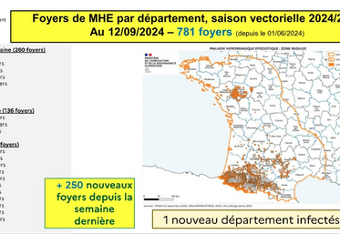 La carte de la progression des foyers est actualisée par les services de l’État chaque semaine.