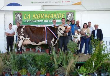 Pinacolada de la Ferme des P'tites Normandes a remporté le Graal lors du concours départemental organisé pour la 1re fois à Vachement Caen. Un titre doublé du prix d'honneur vaches en lactation.