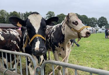 L'agriculture manchoise reste un élément majeur de l'économie. À la foire de Lessay, aucun sujet ne sera oublié par les responsables qui rencontreront élus, partenaires, agriculteurs ou encore le grand public.