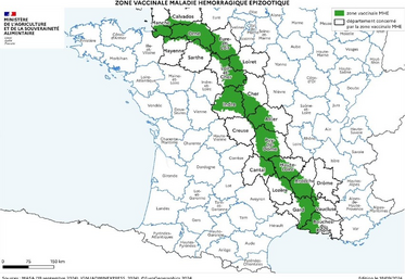 Zone vaccinale de la maladie hémorragique épizootique.