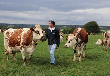 Malgré le nombre, 95 vaches laitières, Antonin Olivier reconnaît toutes ses pensionnaires. "Il a une mémoire exceptionnelle", témoigne Alban Marie de l'OS race Normande.