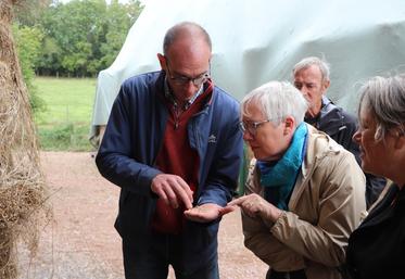 Jean-Baptiste Marie, montrant des graines de lin, à Sylvie Grenier, conseillère régionale, vice-présidente du Pays de Falaise, mardi 10 septembre.