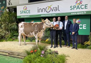 Première de sa section, championne espoir et meilleure mamelle espoir, Sun Sept permet au Gaec de la cavée Mancel de se réjouir de cette édition du Space 2024.