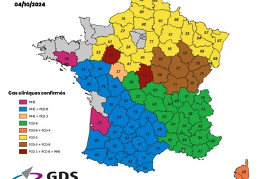 La carte évolue de semaines en semaines.