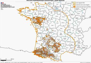 La Normandie reste indemne en matière de MHE. Pour autant, la Manche est en grande partie en zone régulée, comme l'Orne et le Calvados.