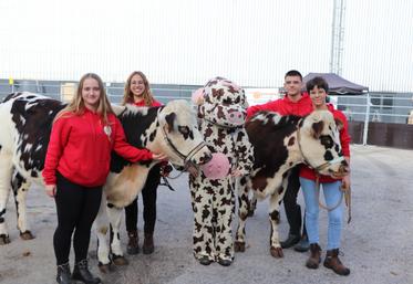 Des étudiants du lycée agricole du Robillard étaient présents en 2022 pour mettre en valeur la race Normande.