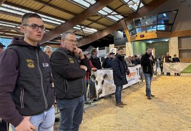 Les deux juges mayennais, Bernard Linay et Kevin Leroyer, aux côtés de Vincent Lecoq, technicien de la race et Guillaume Martel, président de l'association de race.