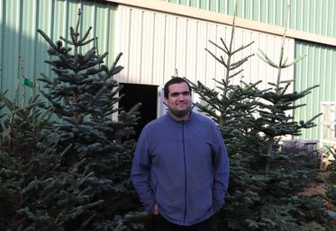 Jean-Baptiste Filmont, 28 ans, produit avec ses parents, associés du Gaec, 50 000 sapins chaque année.