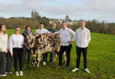 Leona Brindeau, Doreen Legoguelin, Isabelle Guyot, Bastien Hulmer, Bertrand Message, Sosthene Montambault et Mathis Herpe se préparent avec Tempête, au trophée international de l'enseignement agricole qui se déroulera dans le cadre du Salon de l'agriculture fin février.