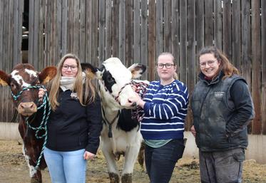 Valentine Latimier, présidente de l'association Normande avenir ; Lucie Foucault, éleveuse d'Oreillette (vache star du Salon international de l'agriculture 2024) et Emie Tacheau, éleveuse du Gaec Bas Normand à Sainte-Marie-la-Robert dans l'Orne, unissent leurs passions à destination des jeunes.