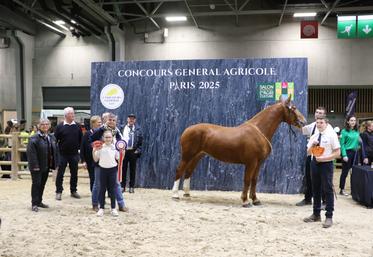 Ce sont les enfants de Mathieu Dubost, Gabin et Antonin (à droite) qui ont présenté la pouliche gagnante lors du concours de Cobs Normands à Paris. Une fierté pour la famille qui élève "le plus léger des chevaux de trait", précise le présentateur quant à la race.