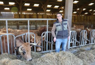 La ferme Belleau a choisi de changer de race en 2011. Passant de la Salers à l'Aubrac, Ambroise Piednoir s'adapte chaque jour. Depuis 2018, l'exploitant s'est diversifié avec la production de volailles. "C'était pour ramener du client pour le cidre. Ça entraîne de l'achat additionnel", dit-il.