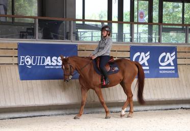 Dans la filière équine, "certaines races ont pas mal de maladies génétiques". Avec la génomique haut débit, Labéo entend répertorier les marqueurs génétiques et faire perdurer les races.