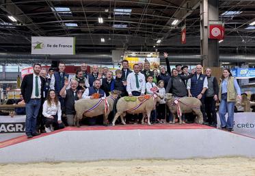 Le podium final des éleveurs lors des concours de l’Oscar (Avranchin, Cotentin et Roussin de la Hague) au Salon de l'agriculture.