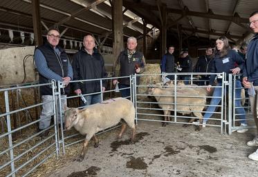 Michel Duquesne (au centre) a vendu son bélier à Sylvain Vivier de Seine- Maritime à hauteur de 800 € lors de la vente aux enchères orchestrée par Loris Vallée, président de la section au sein d'Oscar.