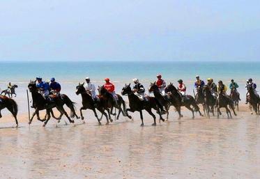 Tout au long de l'après-midi, pas moins d'une centaine de chevaux vont fouler le sable de Jullouville, seul hippodrome marin de Normandie et un des quatre de l'Hexagone.
