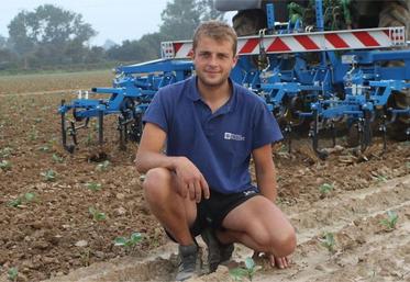 Installé à Valcanville, Thomas Onfroy a été élu à la présidence du GPLM, groupement des producteurs de légumes de la Manche.