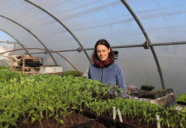Anne-Charlotte Dhaisne est en phase d'installation sur 2 ha de terre maraîchère à Condé-sur-Risle, dans l'Eure.