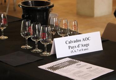 Une vingtaine de catégories a permis de départager les boissons locales lors du festival AOP/AOC de Cambremer en 2025.