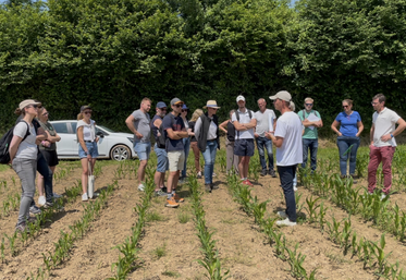 Pas moins d'une cinquantaine de personnes ont été accueillies par Gabriele Fortino, agronome et référent des essais Scuden.