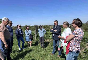 À Maupertuis, un chantier de haie a été réceptionné par les élus de Villedieu Intercom, du Conseil départemental de la Manche et de la Chambre d'agriculture.