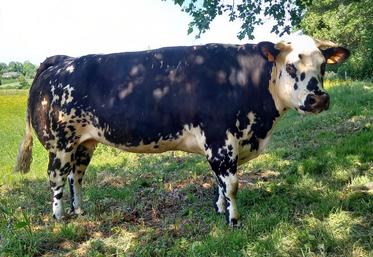 L'accueil sur la ferme de l'éleveur se fera à partir de 11 h et la restauration sur place sera possible sur réservation.