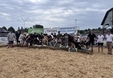 Dix jeunes ont participé au concours de jeunes présentateurs le 21 juin en même temps que le comice agricole.