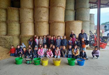 Quarante élèves de l'école de Gacé se sont rendus sur la ferme de Christophe Cougé au Merlerault.