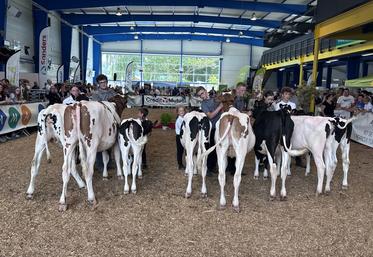 Les huit finalistes ont fait un dernier tour de ring avant que le juge dévoile les trois jeunes sélectionnés pour le concours National en octobre à Alençon.