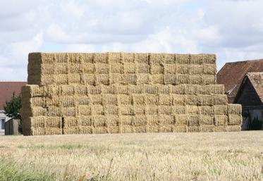 Le préfet et la Chambre d'agriculture du Calvados invitent les céréaliers à privilégier la valorisation de la paille - en favorisant sa récolte et son réemploi local - plutôt que son broyage.