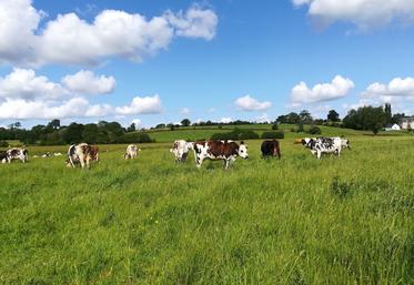 Le pâturage est préconisé au sein du Parc des marais du Cotentin et du Bessin.