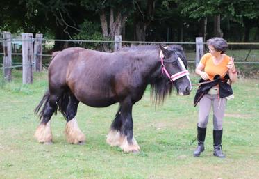 À l'Académie d'enseignement comportemental de Firfol, "l'humain adapte son comportement afin que le cheval soit respecté et compris", revendique Laure Bousquet, fondatrice du lieu.