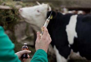 La nouvelle campagne de prophylaxie démarrera à l'automne.