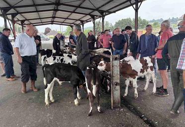 Le marché de Gavray-sur-Sienne a réouvert le 13 août dernier.