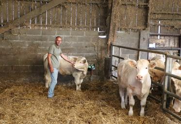 Emmanuel Leboucq participera pour la première fois à un concours bovins en se rendant au concours interrégional Charolais à la Foire de Caen. "Je ne m'attends pas à monter sur le podium, mais il faut bien débuter un jour", lance-t-il avec le sourire. On le retrouvera le 27 septembre sur le ring.