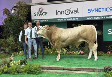 La famille Sallot, Fanny, Baptiste et Jérôme, décroche une première place de section avec Vaillant, un jeune taureau.