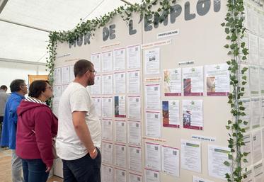 Ce n'est plus sur un mur comme l'année dernière mais sur des piliers que les offres d'emploi, de stage ou d'alternance seront diffusées.