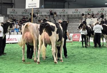 C'est la Normandie qui sera le maître d'organisation du prochain concours national Prim'Holstein 2025.