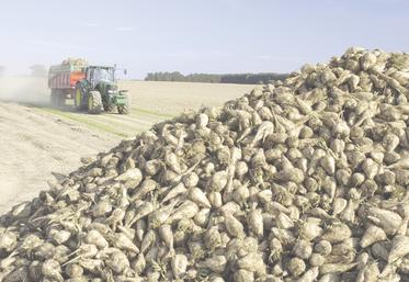 Suite à la fermeture précipitée de l'usine Saint-Louis Sucre en 2020, filiale du groupe industriel allemand Südzucker, basée à Cagny, 62 planteurs avaient déposé un recours en justice. Le verdict est enfin tombé après plusieurs années d'attente et il n'est pas en faveur des agriculteurs.