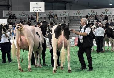 Les Prim'Holstein ne seront pas présentes à l'édition 2025 du Salon tous paysans, contraintes d'annuler leur concours national. La ministre de l'Agriculture ayant suspendu tous les rassemblements en raison du contexte sanitaire.