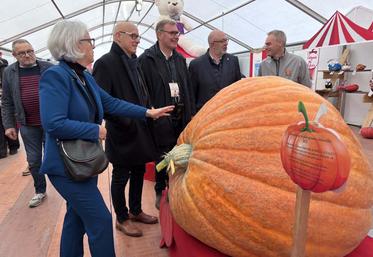 485 kg, c'est le poids de la plus grosse citrouille de l'édition 2025 de la foire Saint Luc de Gavray-sur-Sienne. Un poids qui a laissé plus d'un visiteur perplexe.
