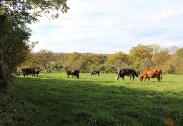 Un point sanitaire a été réalisé lors de la session Chambre d'agriculture de l'Orne.