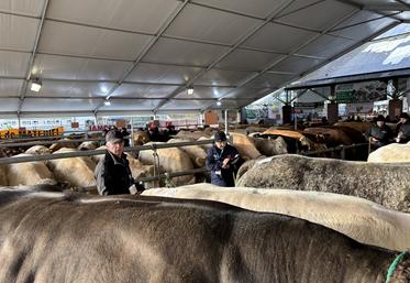 Laurent Binet, président fondateur du Festival de la viande à Torigny, reste le pilier de cette édition 2025. Il s'appuie sur une équipe de 130 bénévoles.
