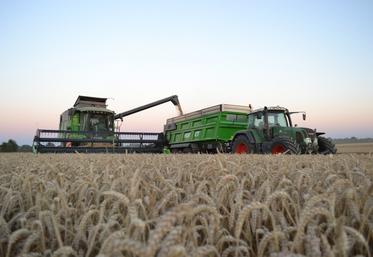 "Où va notre blé ? Au premier, au second, comme au troisième degré", interroge Jean-Yves Heurtin, président
de la Chambre d'agriculture du Calvados lors de la dernière session, vendredi 14 novembre.
