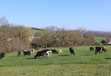 "La rigidité réglementaire ne répond pas aux besoins des exploitants, notamment face aux évolutions climatiques, économiques et sanitaires", remarque la Chambre.